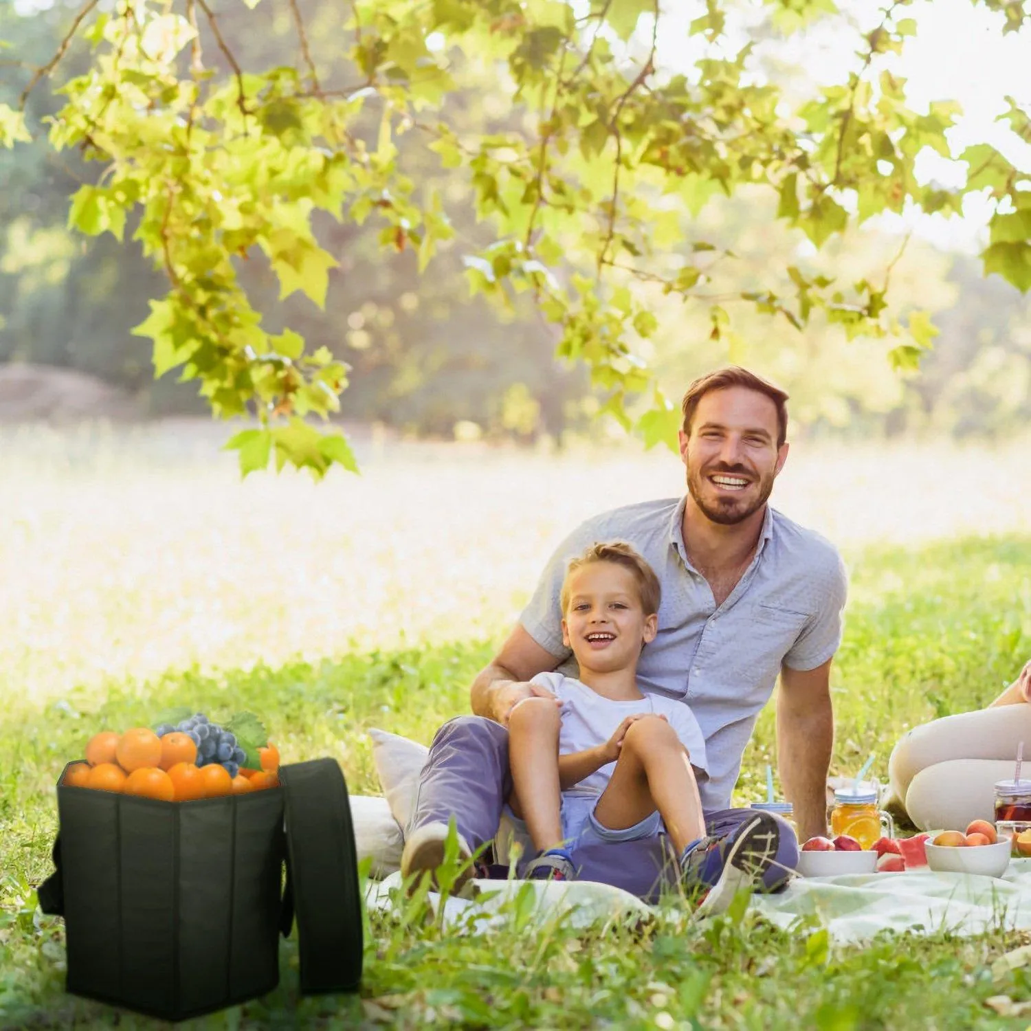 3 Gallon Collapsible Grocery Cooler Bag Seat Combo